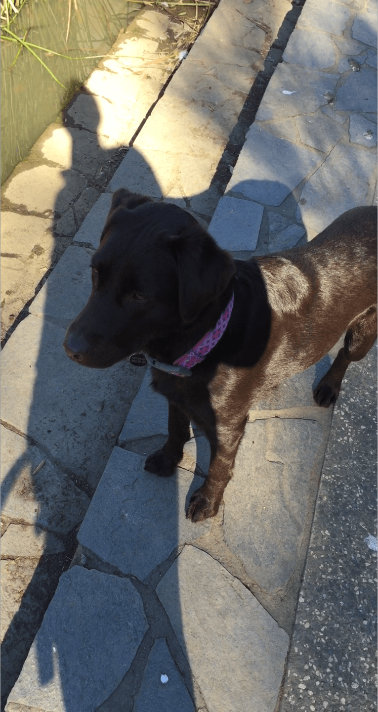 Screen Shot 2016-07-04 at 6.21.13 PM