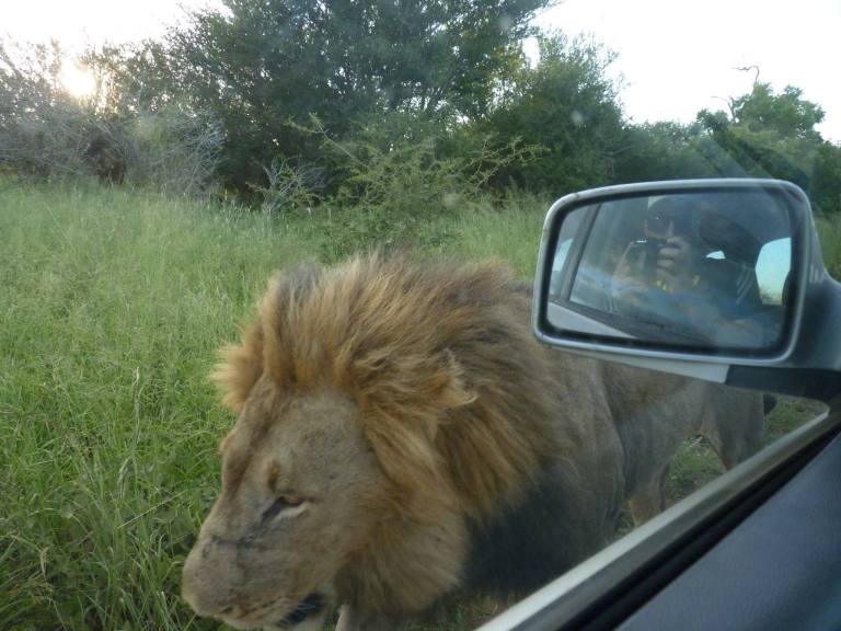 11001611_10153275179274994_362846679188267316_o