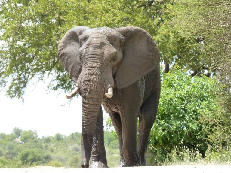 1504283_10153275154484994_1975041031879539672_o