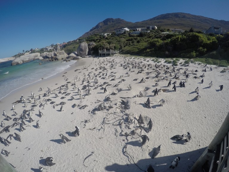 DCIM100GOPROGOPR1282.